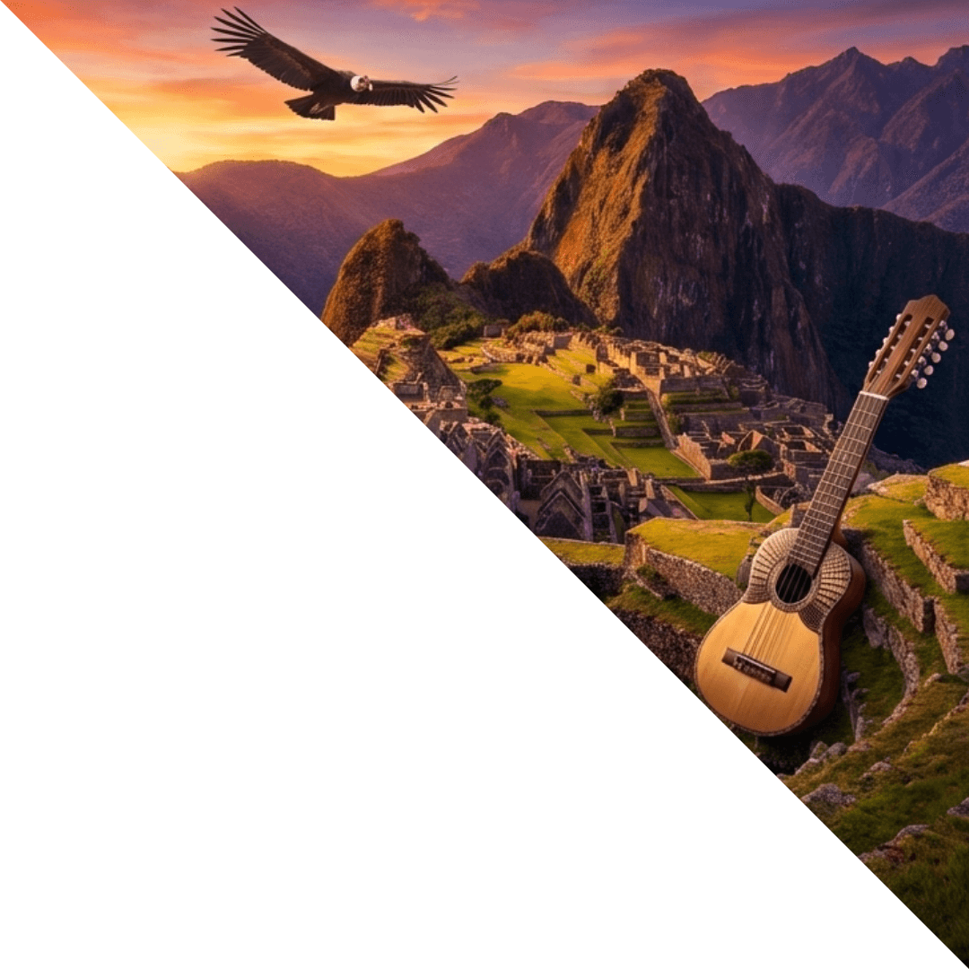 Andes programme graphic